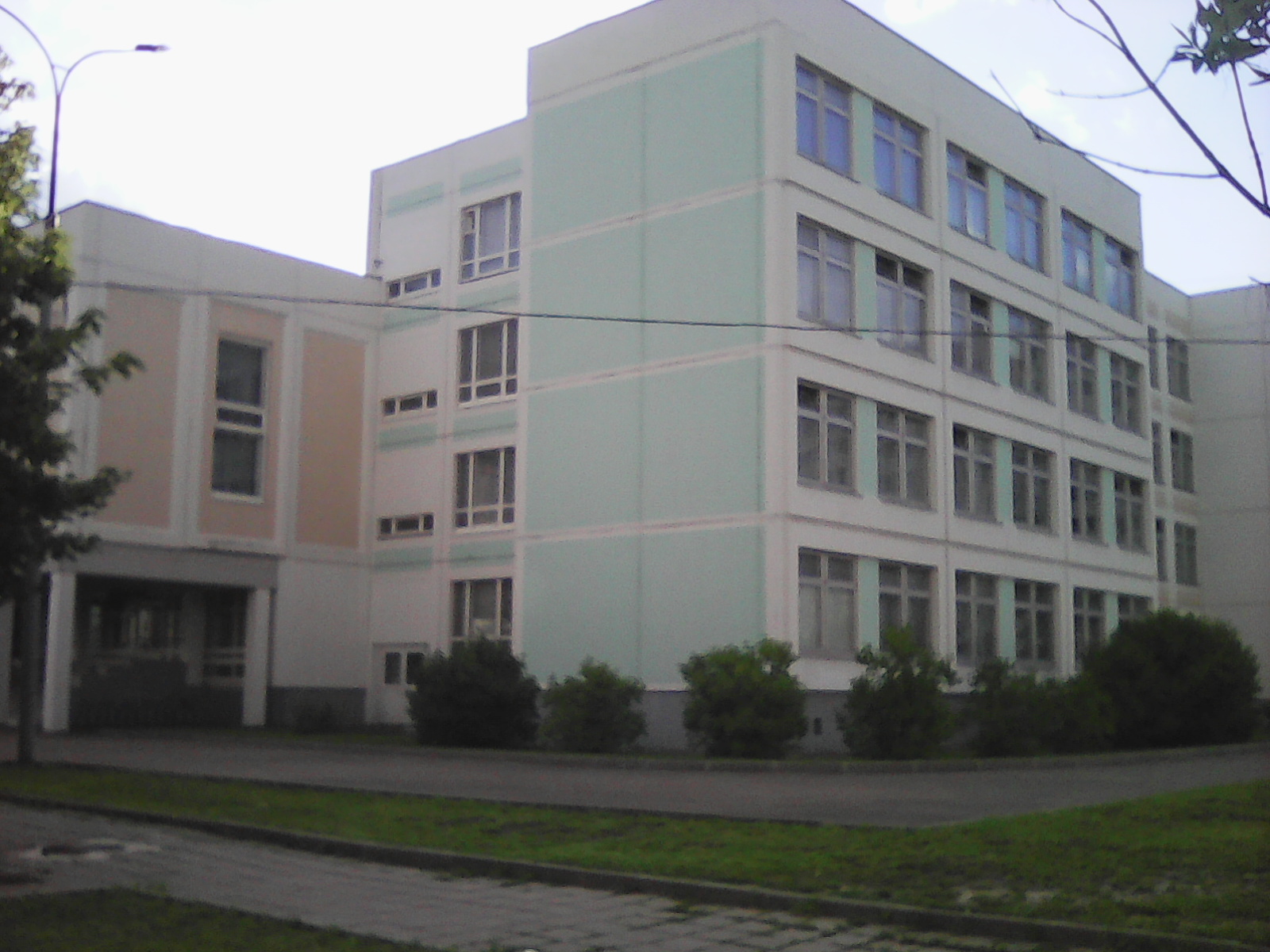 школа 2009 фото