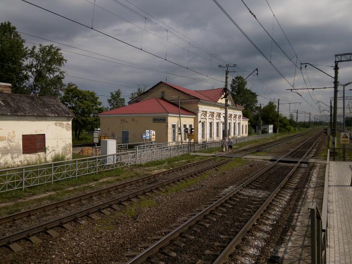 Электрички жихарево мга. Назия ЖД станция. Станция Жихарево Ленинградской. Железнодорожная станция Назия Ленинградская область. Жихарево вокзал.