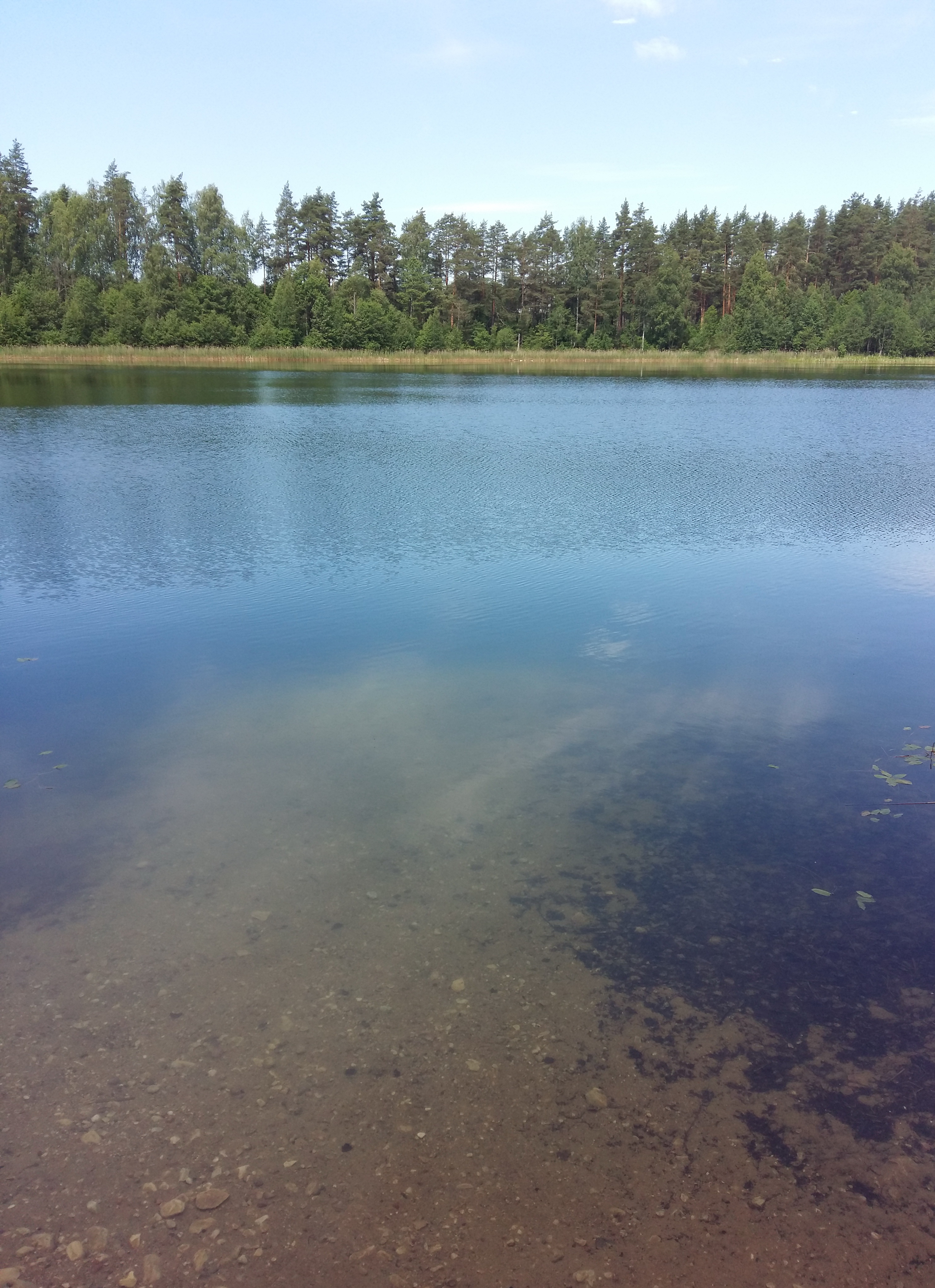 широха озеро меленковский район