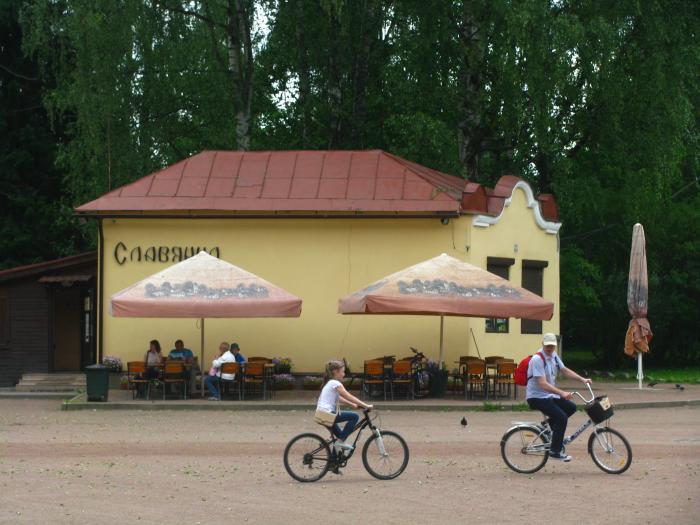 Кафе в павловске