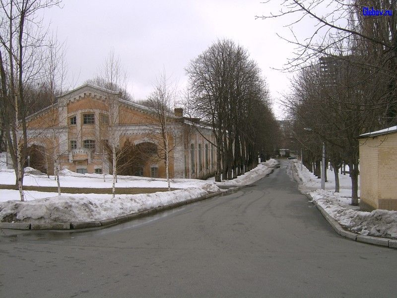(Киев)