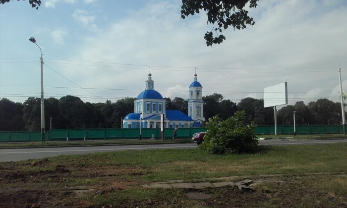 Скорбящая церковь мичуринск. Скорбященская Церковь (Мичуринск). Мичуринск кладбище скорбящих радость. Церковь иконы Божией матери всех скорбящих радость Мичуринск.