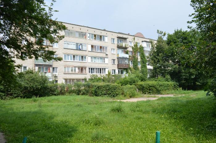 первомайская 30 ивантеевка. адмирала жильцова 4 ивантеевка. ул смурякова в ивантеевке. ивантеевка луговая улица. ивантеевка, трудовая улица, 14а.