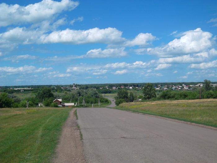 Калманский сельсовет. Село Калманка Алтайский край. Калманский район село Калманка. Алтайский край Сростки Усть-Калманка.