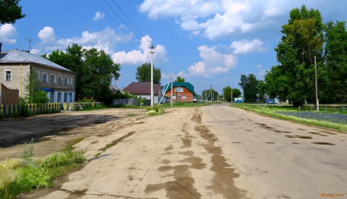 Село лебяжье самарская область