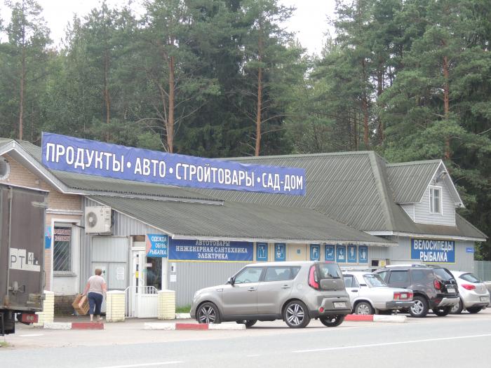 Купить Магазин В Ленинградской Области