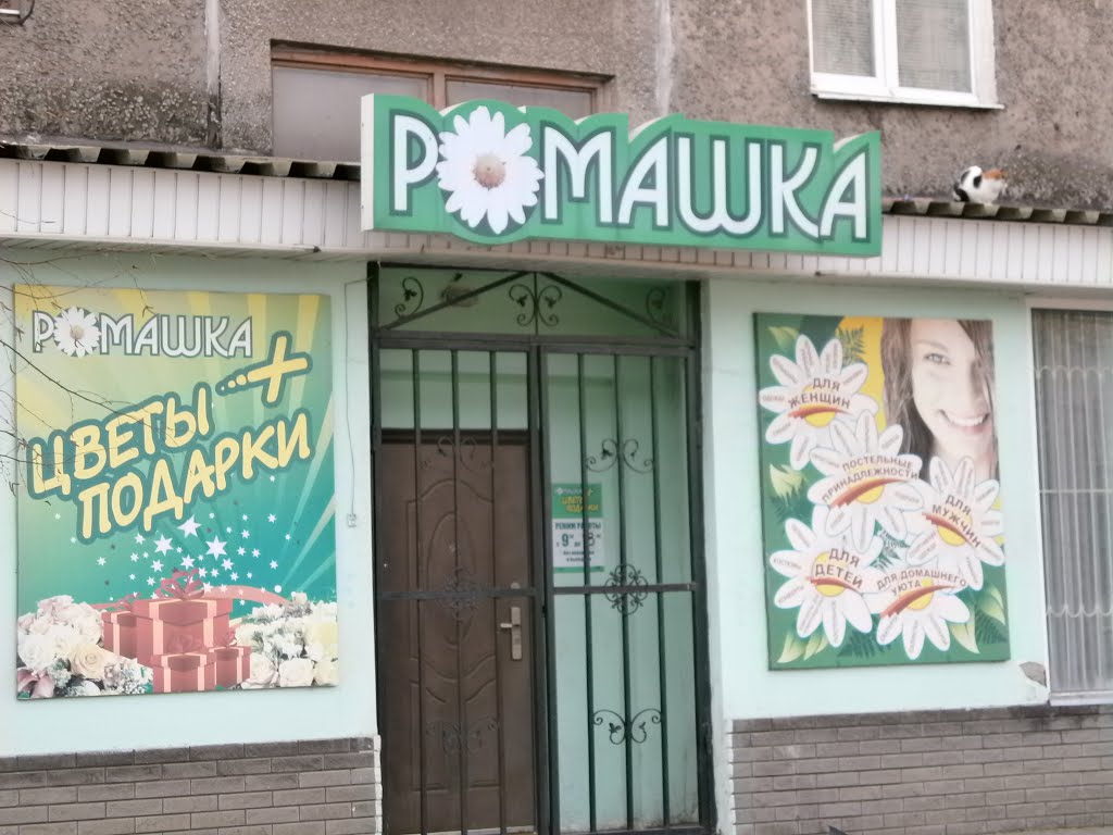 Магазин ромашка