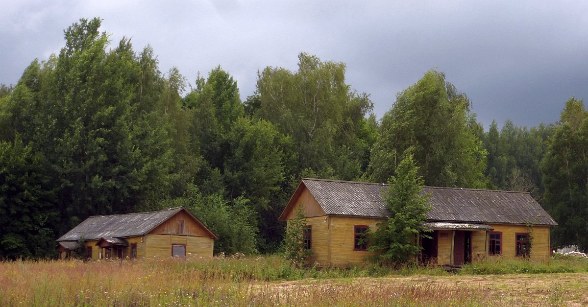 Купить Дом В Фролищи Нижегородской Области