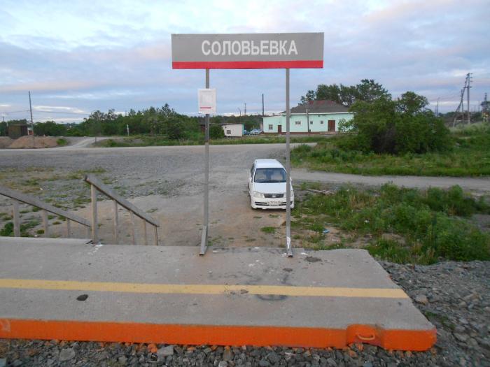 Погода соловьевка приморский край. Соловьевка. Соловьёвка Оренбургский район. Соловьёвка (Крым). Деревня Соловьевка.