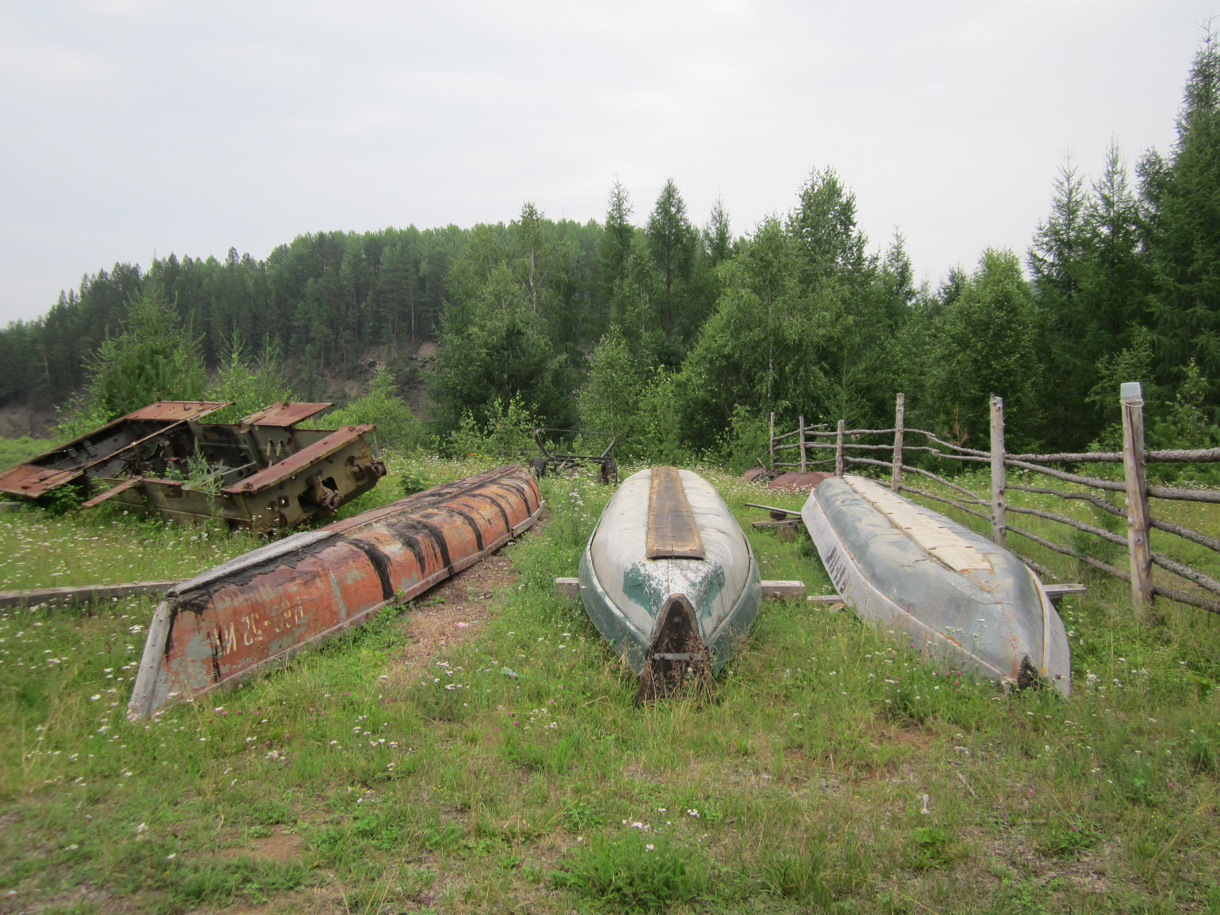 Карта кедровый красноярский край