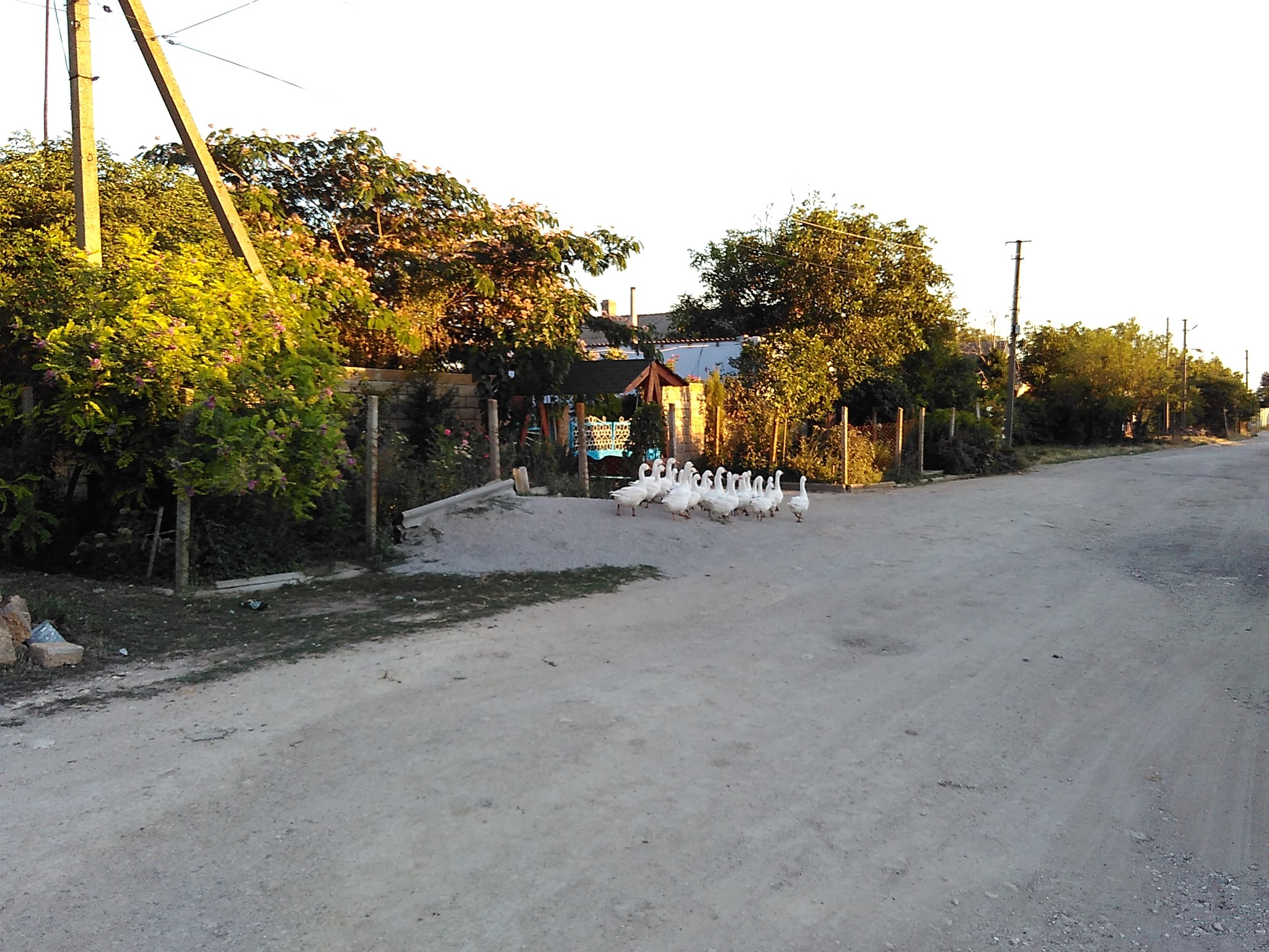 Znamenskoye / Znamenske