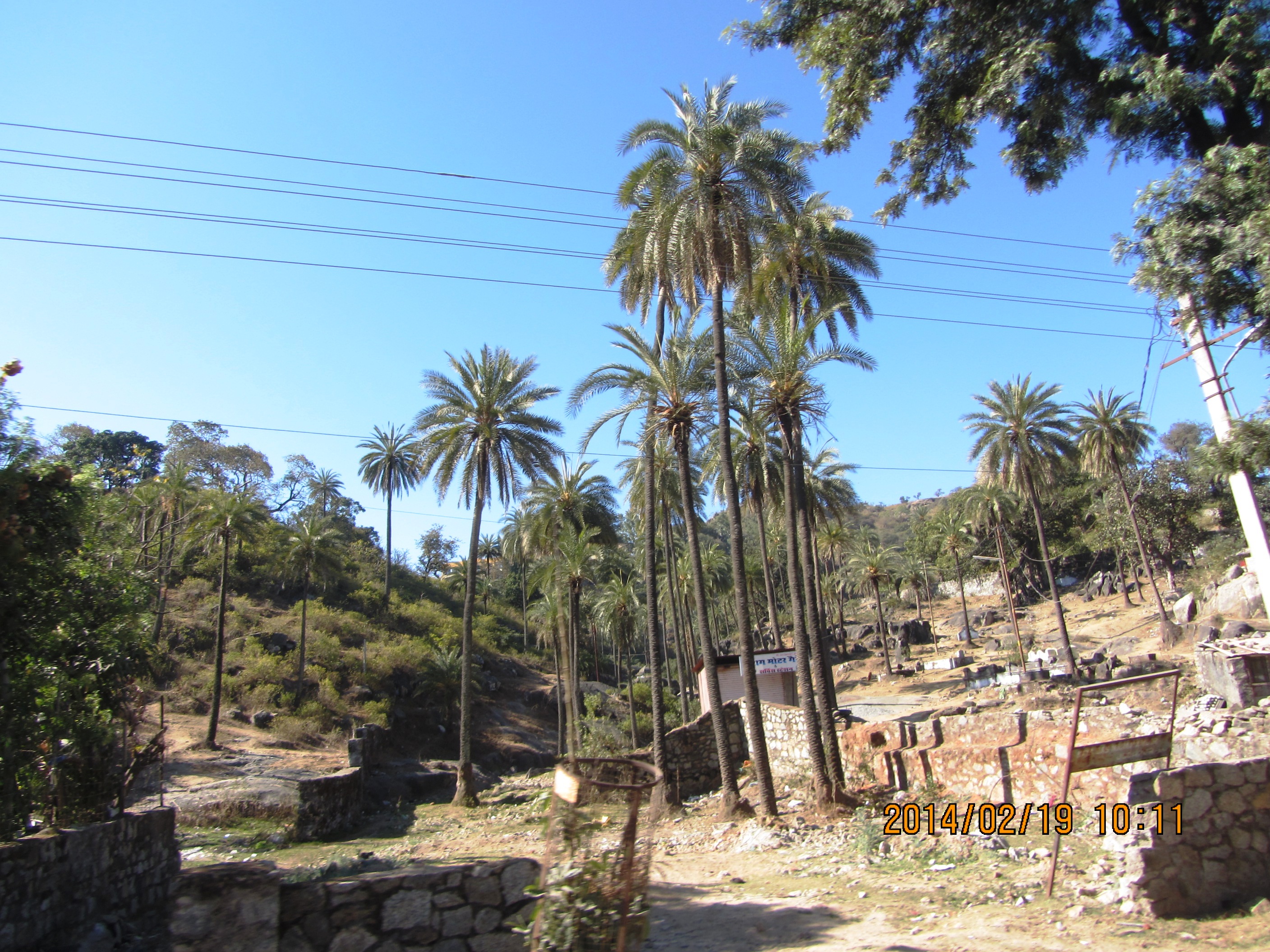 Cemetery - Mount Abu