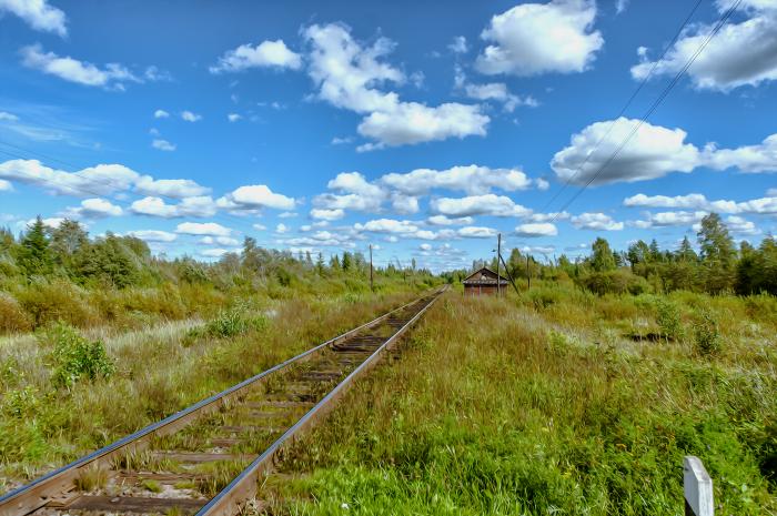 Область ст. Станция Хотцы Новгородская область. Деревня Хотцы Новгородской области. Неболчи. Неболочи Новгородская обл.