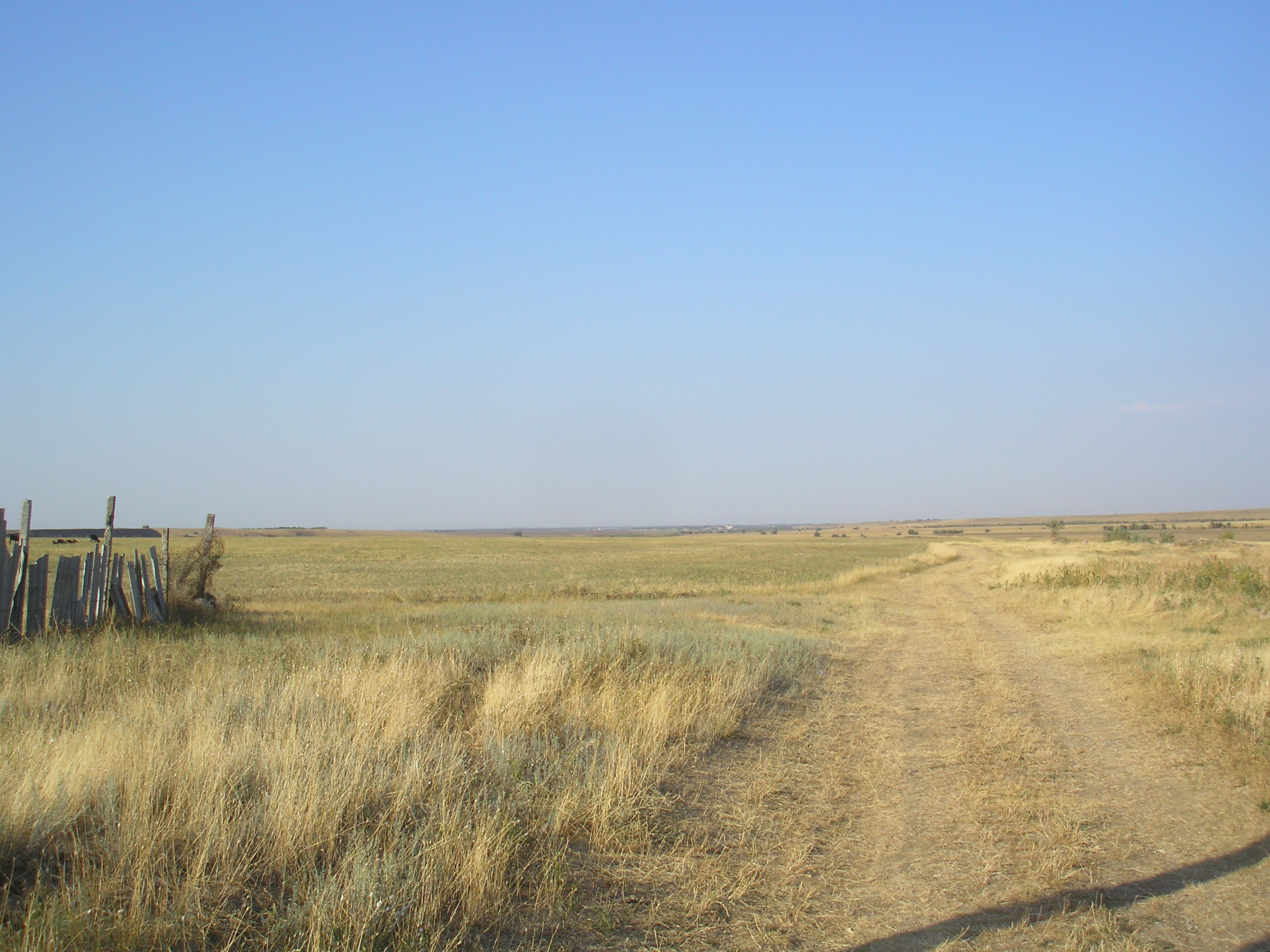 Погода в лоховке советский