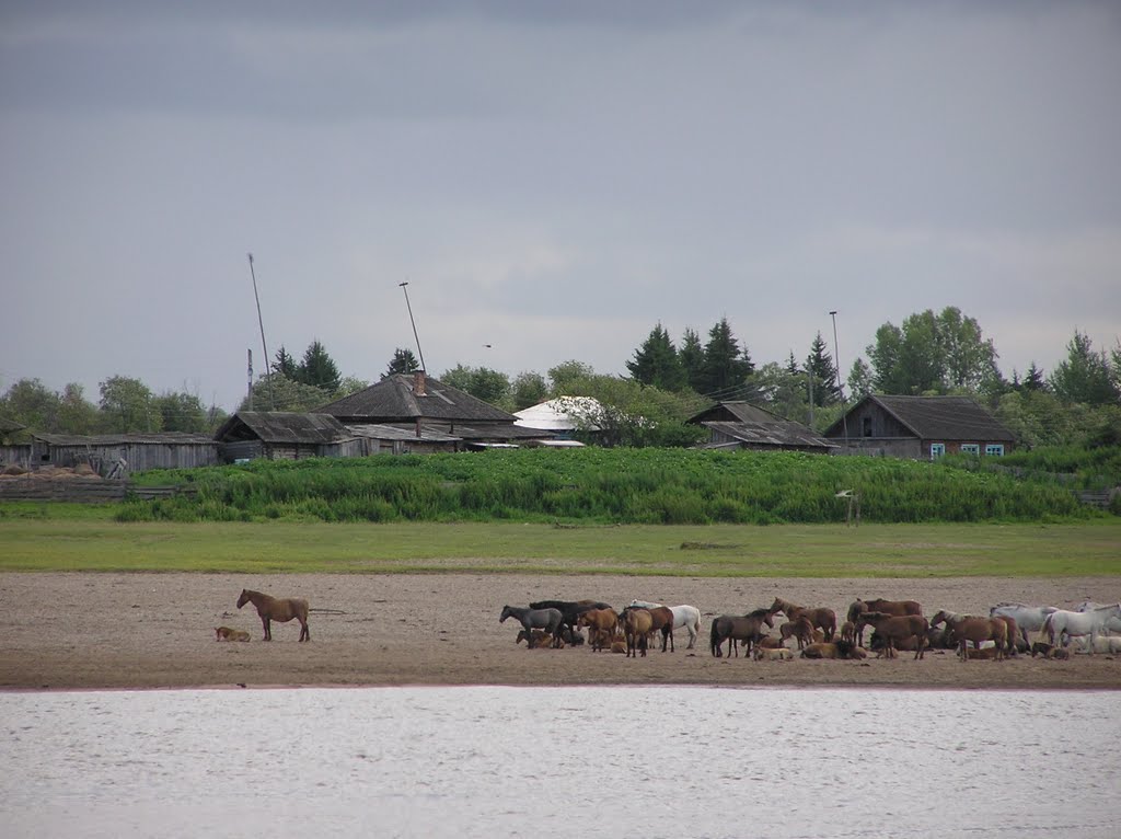 Красноярский край бирилюсский. Подкаменка Красноярский край деревня. Маталассы Бирилюсского. Красноярский край Бирилюсский район село Бирилюссы. Деревня Маталассы Бирилюсского района Красноярского края.