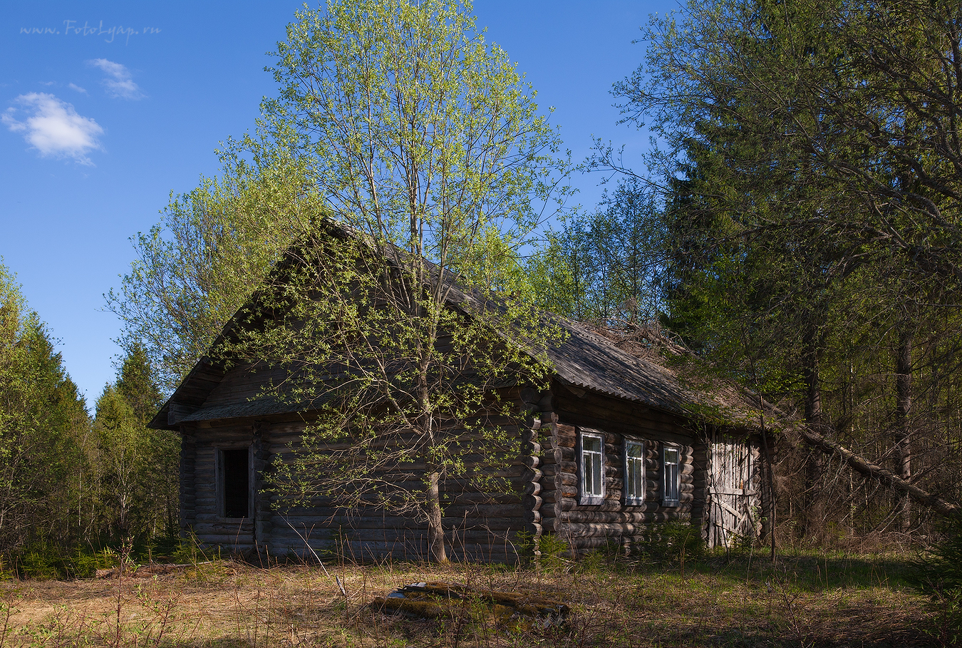 Тихвинская волость. Обишково Новгородская область. Деревня Обишково Новгородская обл. Чудской Бор. Заброшенные деревни Новгородской области Любытинского района.