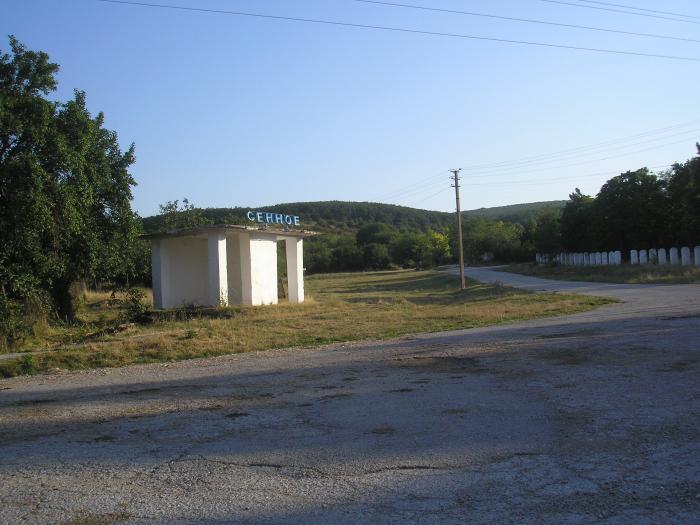 Синоптик крым село. Село Сенное Белогорский район. Муромское Белогорский район. Хлебное Белогорский район Крым. Крым Муромское сельское поселение Белогорский район.