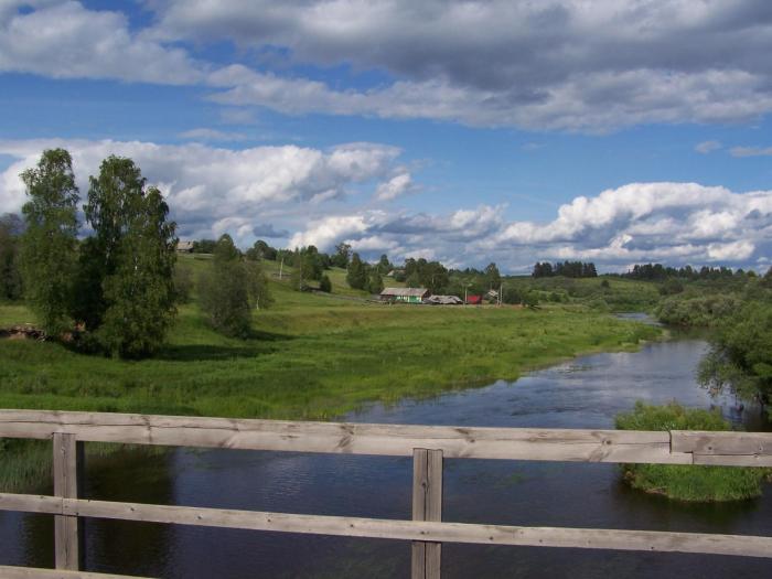 Погода пермский край село калинино. Деревня Калинино Никольский район Вологодская область. Д Осиново Никольского района Вологодской области. Деревня Осиново Никольский район.