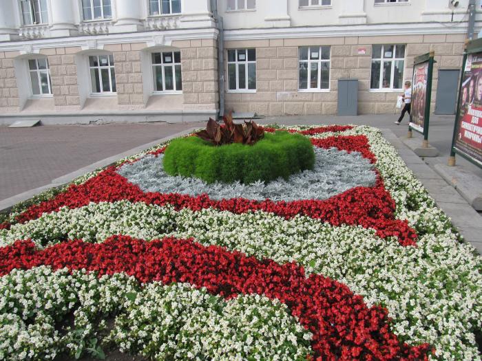 Клумба 3. Городская клумба Екатеринбург. Зеленстрой Екатеринбург. Клумбы города Екатеринбурга. Клумбы Прибалтики.