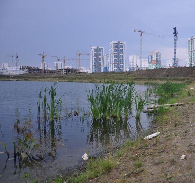 Водоемы екатеринбурга. Водоемы Екатеринбурга широкая речка. Екатеринбург пруд. Пруды города Екатеринбурга. Екатеринбург пруд Энергетик.