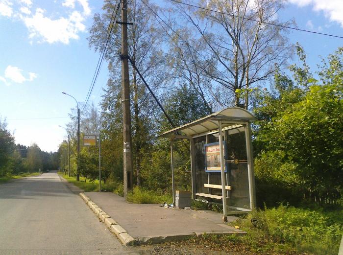 Левашово санкт петербург