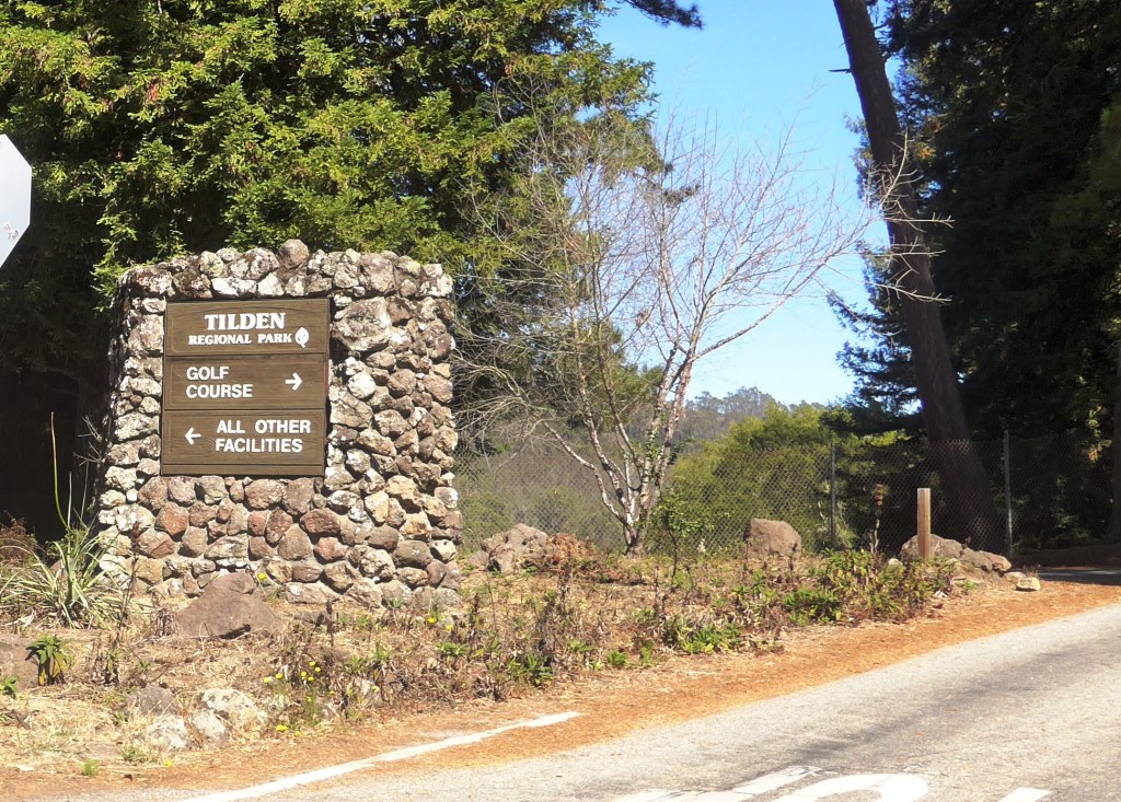 Tilden regional park