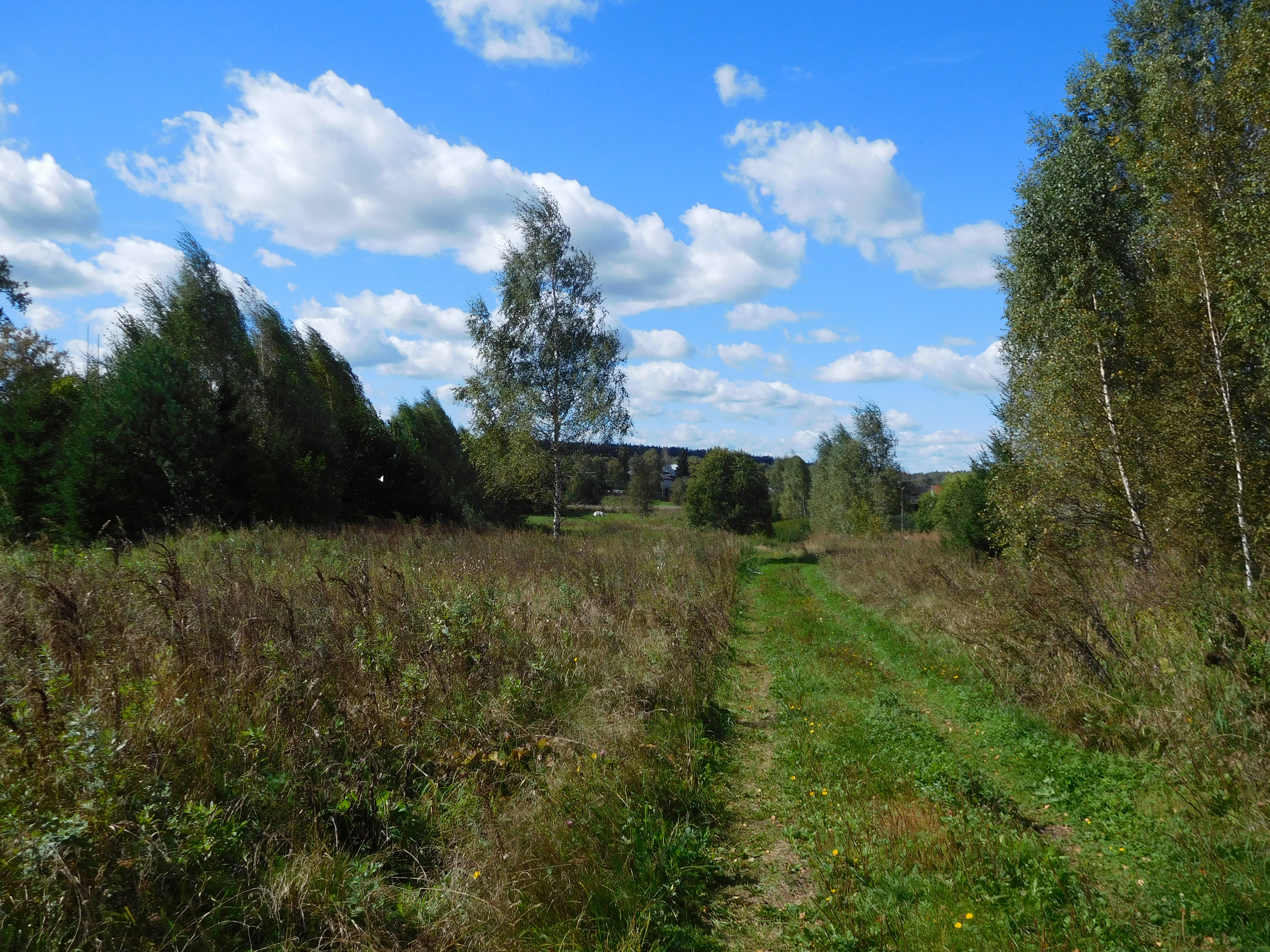 село белый раст дмитровский район московская область индекс фото 93