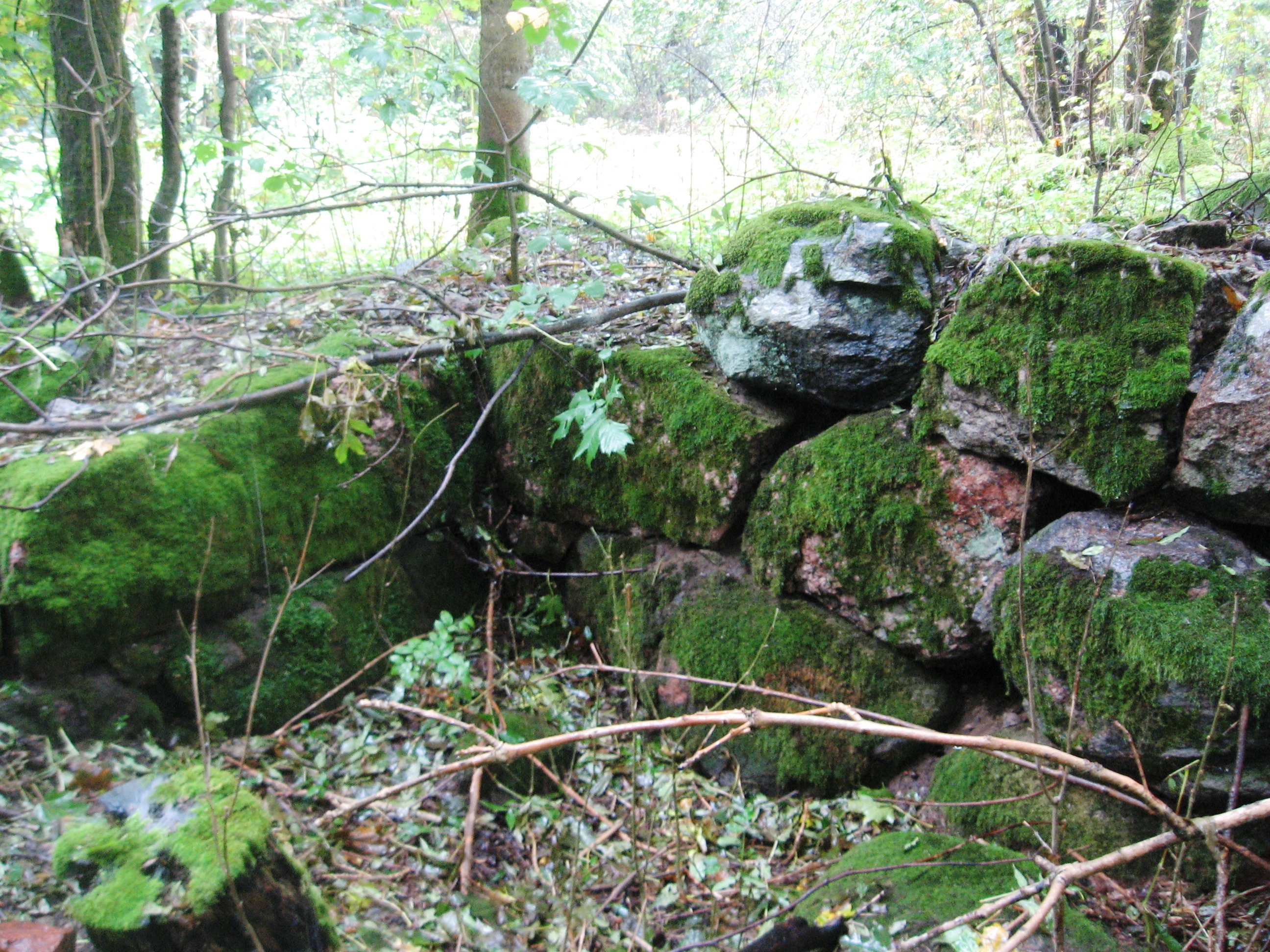 оборонительные укрепления карельского перешейка назывались. оборонительные укрепления карельского перешейка назывались. подземные укрепления линии маннергейма. карельский укрепрайон лес. оборонительные укрепления карельского перешейка назывались.