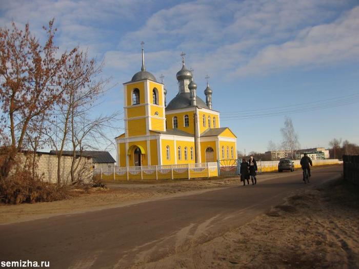 Белая Березка Брянская Область Купить