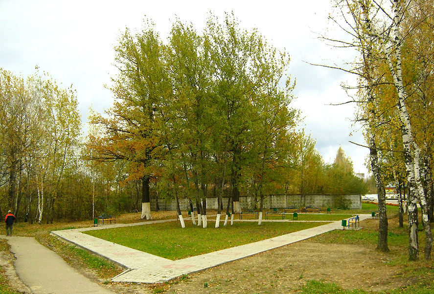 Сосенский улицы. Сквер Березки Сосенский. Сосенский Калужская область. Поселок Сосенский Калужская область.