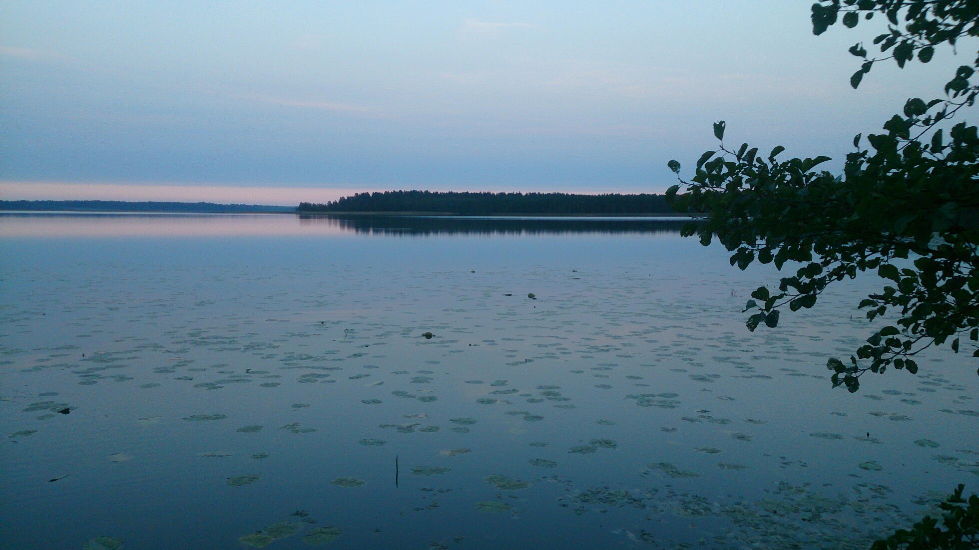 Озеро Щирское Псковская