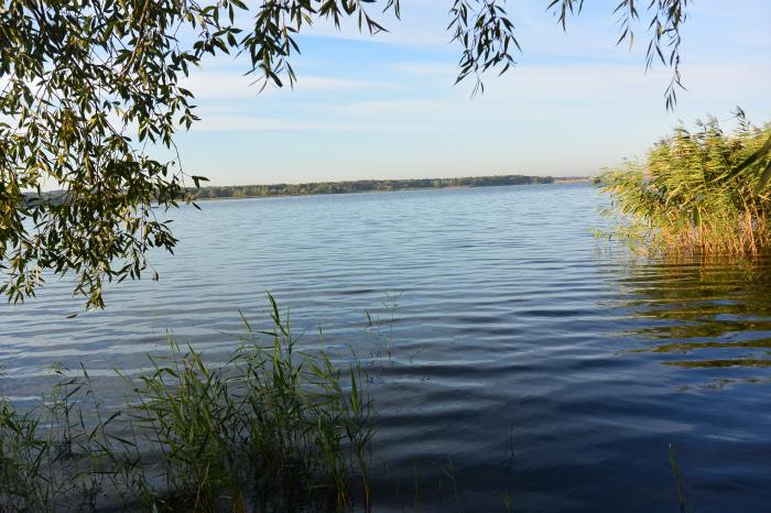 Харьковское водохранилище. Муромское водохранилище. Водохранилище Муром. На фото Харьковское водохранилище.