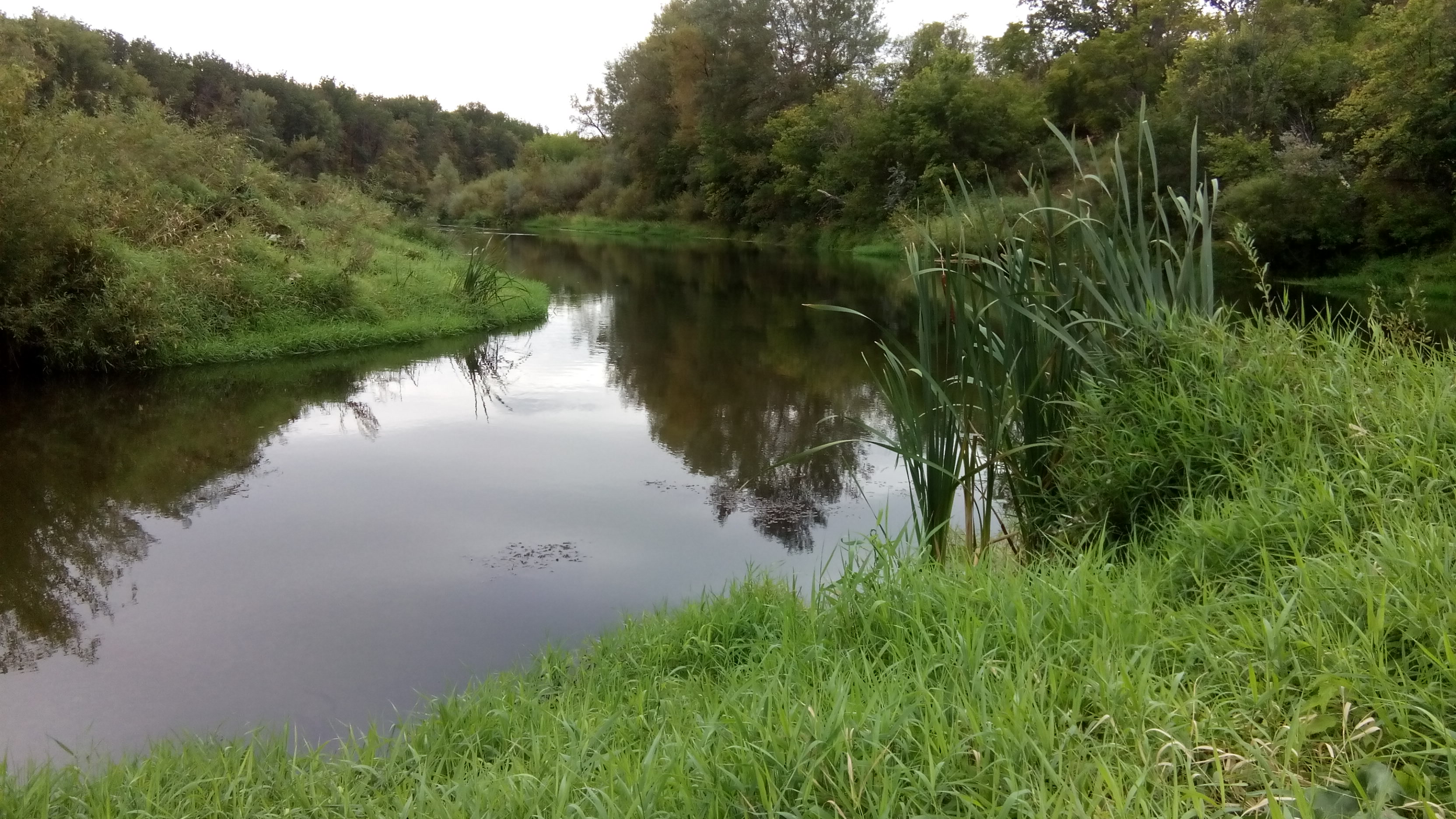 Река 2 буквы. Карамыш (река). Село Рыбушка река Карамыш. Речка Карамыш Саратовская область. Река Медведица широкий Карамыш.