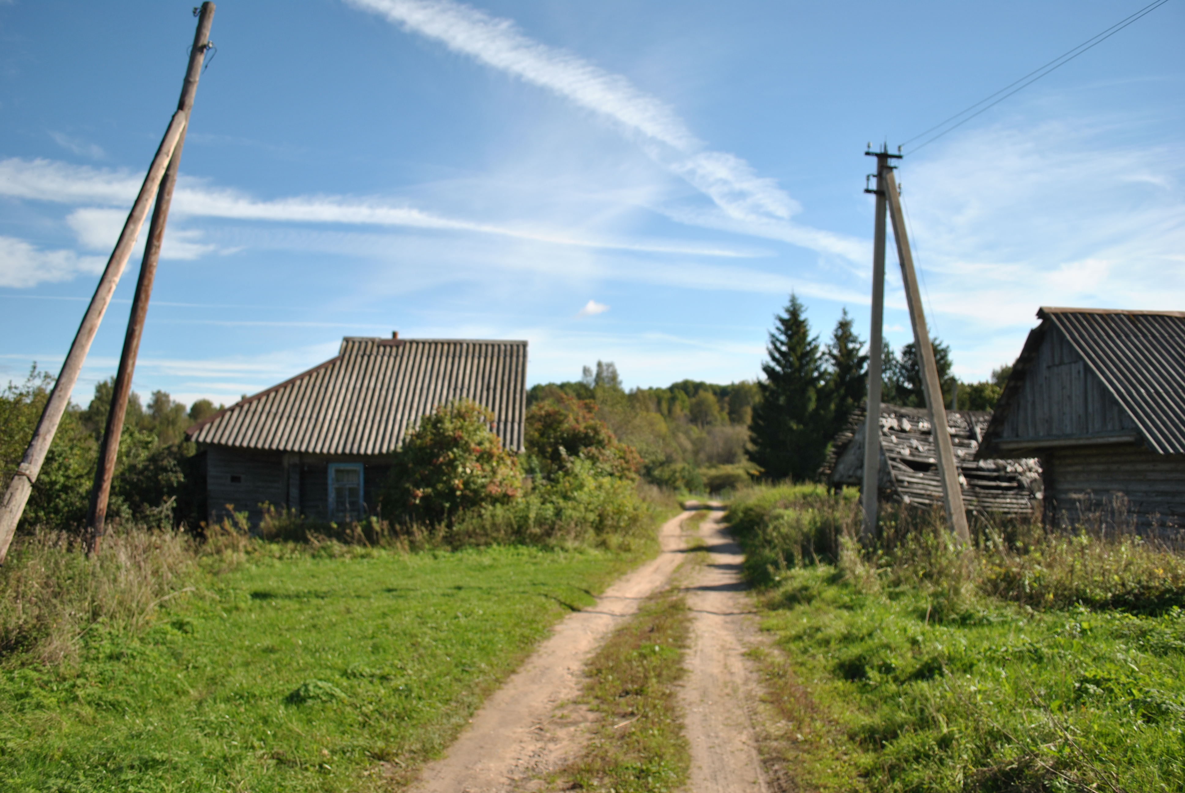 Сельско новгородская область. Деревня Еглино Валдайского района. Деревня Еглино Тосненский район. Деревня Ёглино Тосненского района. Деревня Паршино Новгородская область Валдайский район.