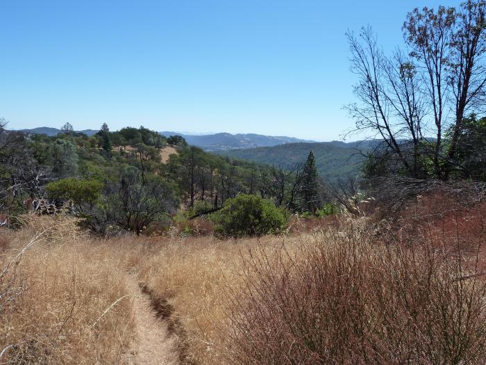 Henry W. Coe State Park