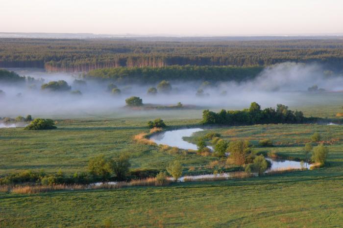 Село глубокое харьковская область. Село Долина Харьковская область. Двуреченский Харьковская область. Каплуновка Харьковская область Краснокутский район. Село грайниковка река Оскол Харьковская область.