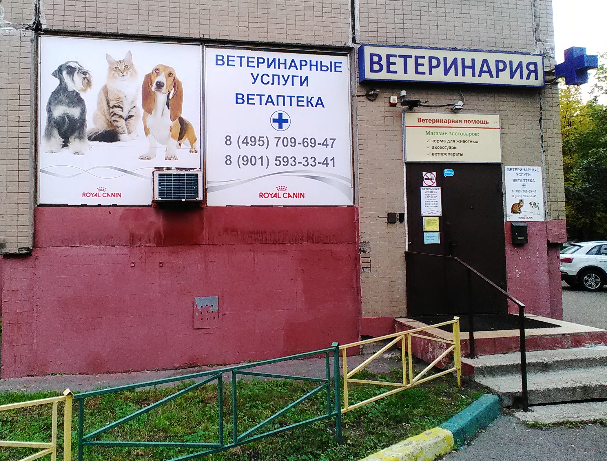 ветклиника тольятти велес. ветеринарная клиника велес текстильщики. ветклиника феликс самара. ветеринарный центр велес обнинск. велес обнинск ветклиника график работы.