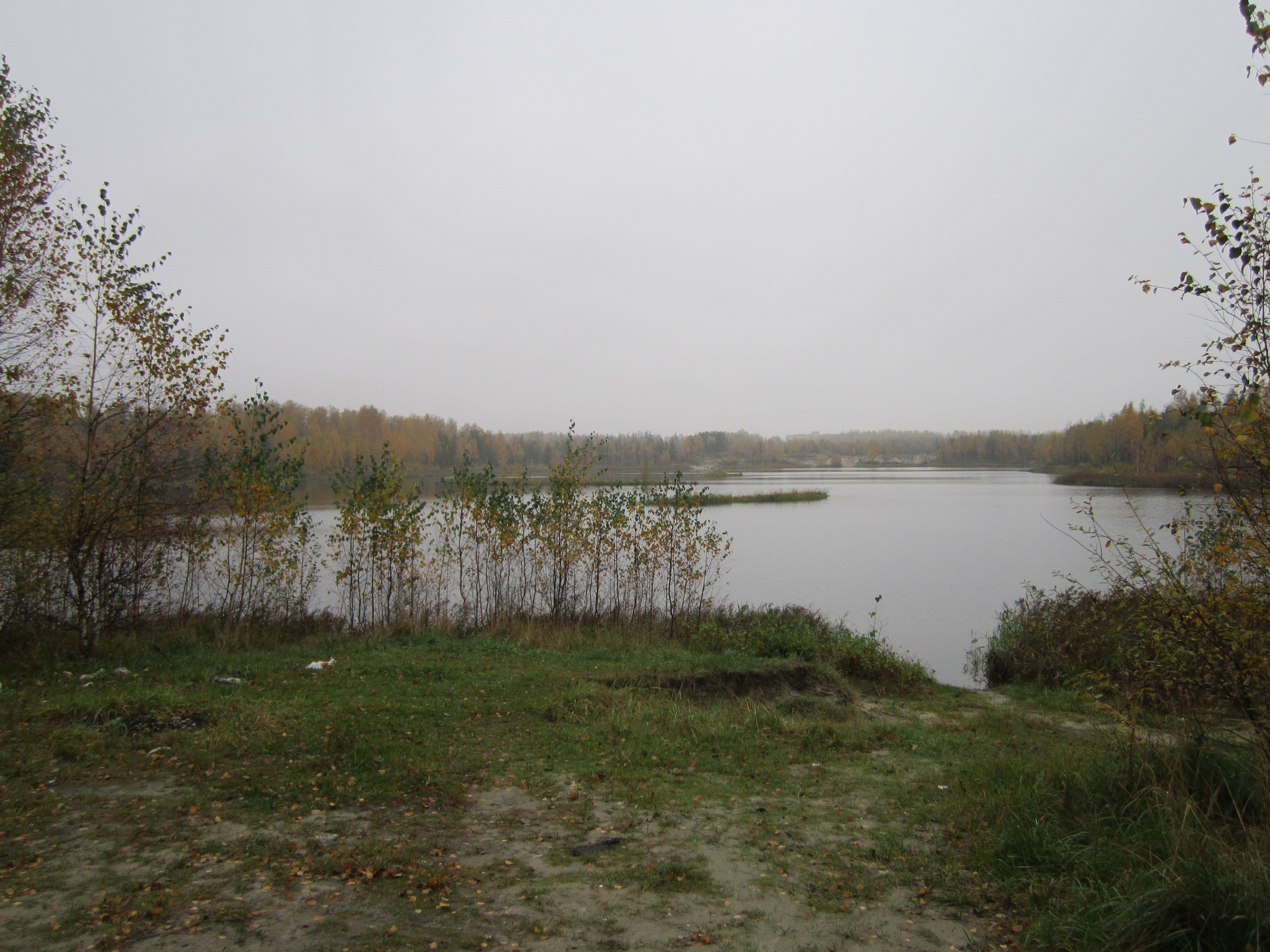 Озеро белый мох Электрогорск