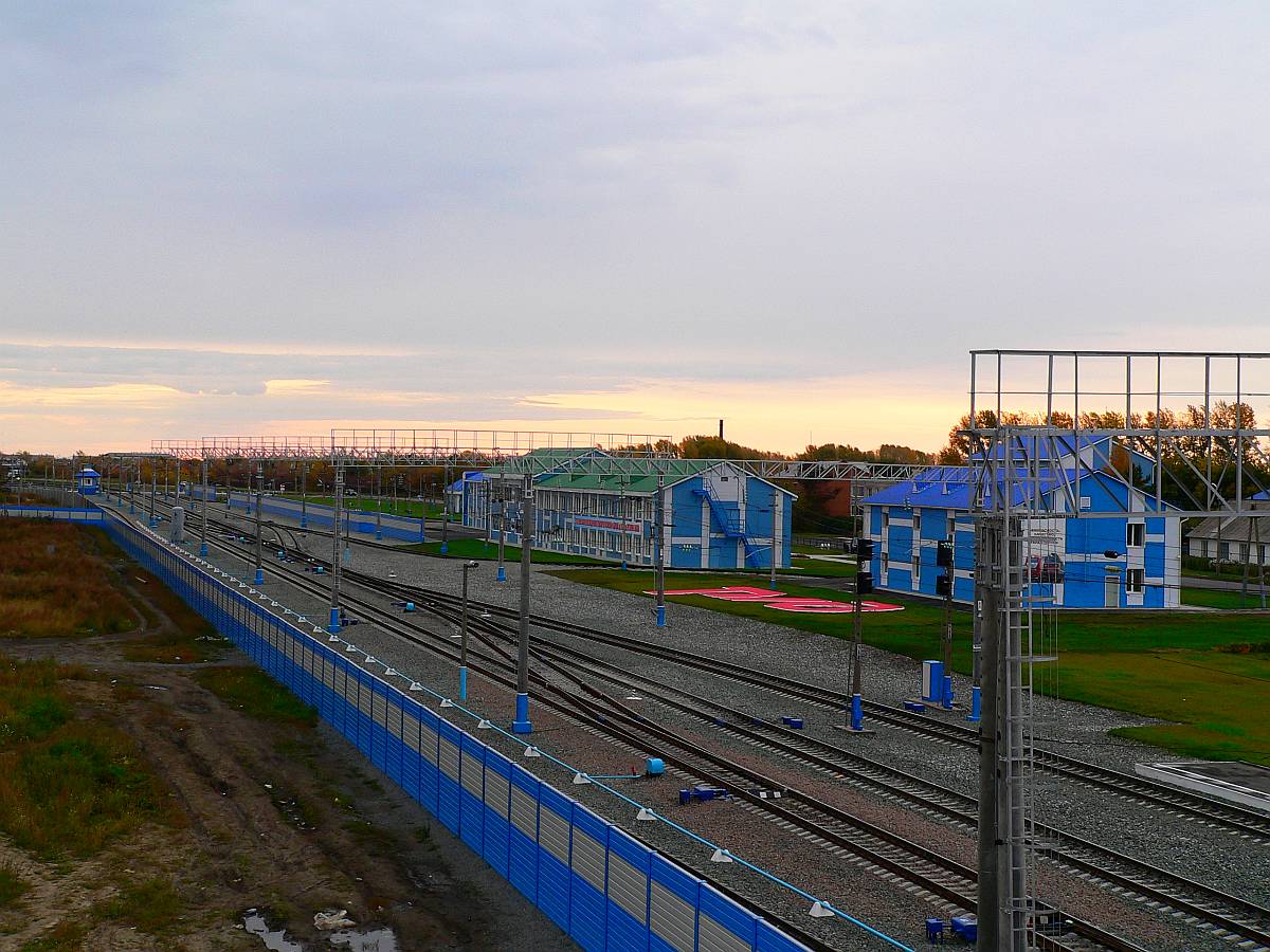 Где Купить Собаку В Камень На Оби