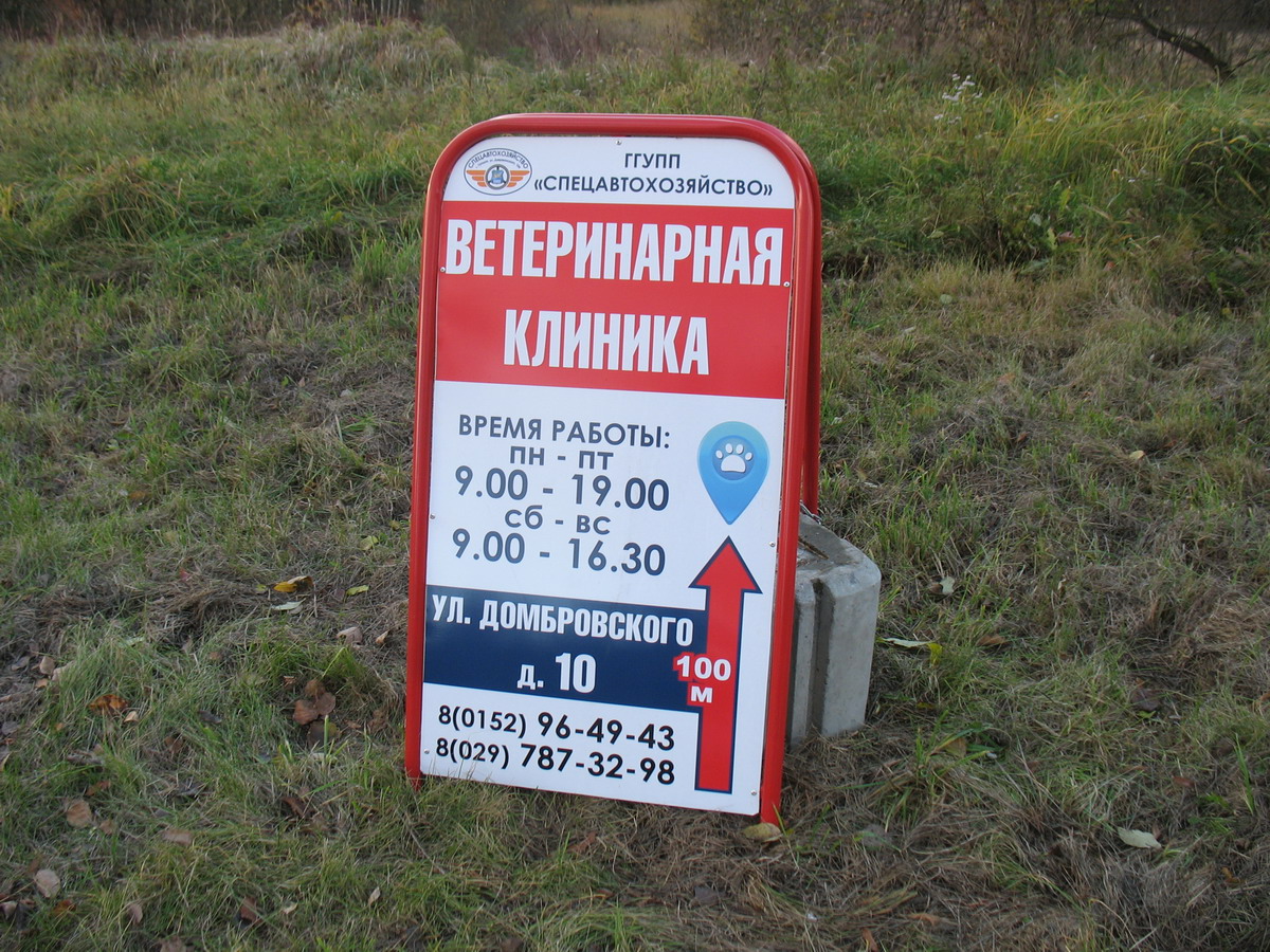 ветлечебница гродно. Impulse ветеринарная клиника. ветеринар клиника. лучшие ветеринарные клиники. суворова 166.