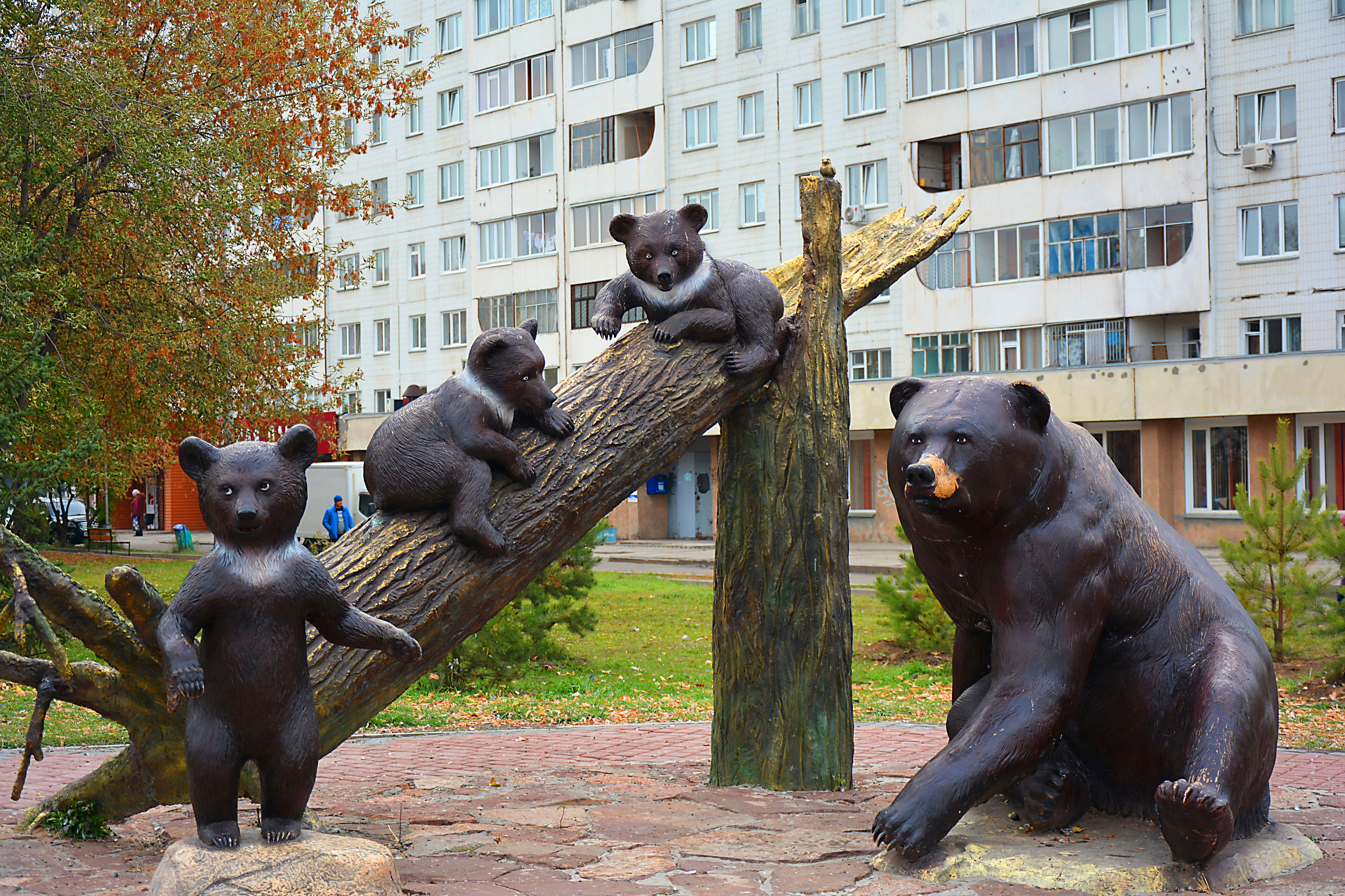 проспект мира москва медведи