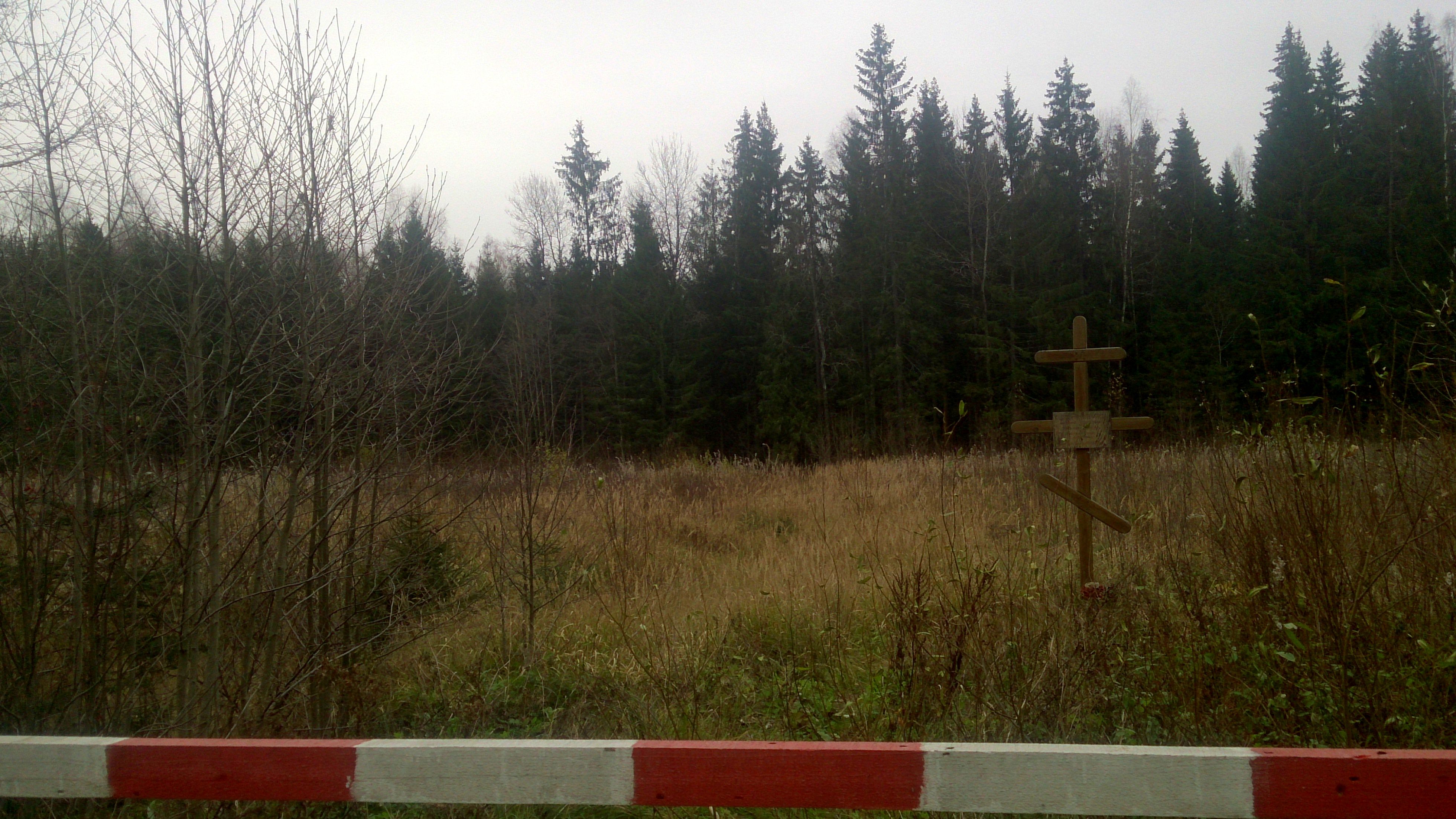 Могилы зеков. Кладбища заключенных гулага. Польские кресты на могилу. Могилы 501 стройки. Барсучья гора беломорканал.