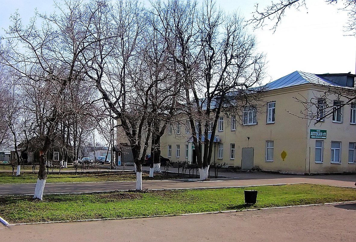 рассказовский филиал тамбовская сетевая компания. ооо рассказово тамбовская область рассказовский район. дмитриевщинская школа рассказовский район. ооо рассказовское. озерская сош рассказовского района.