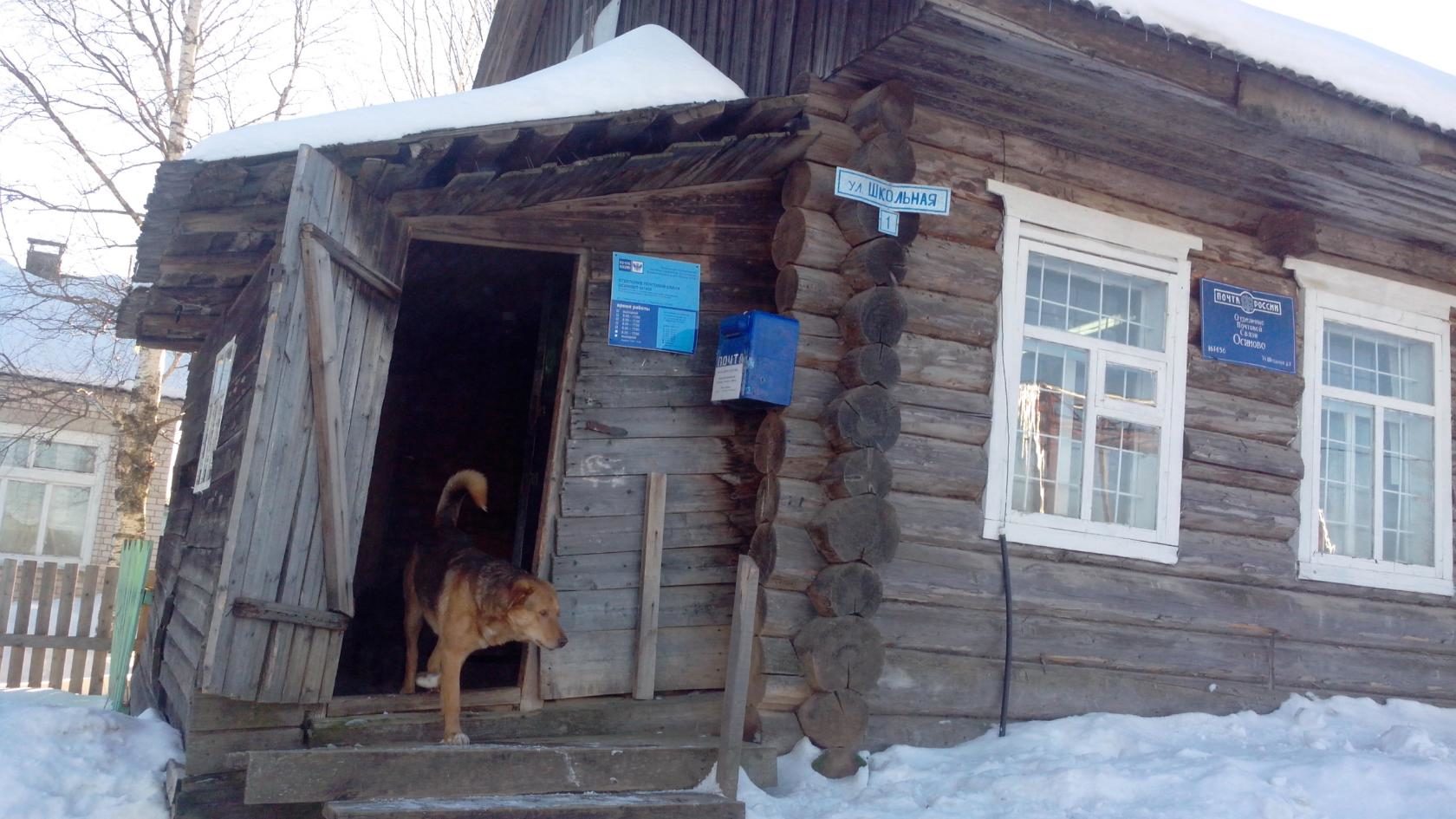 Осиновское сельское поселение татарстан