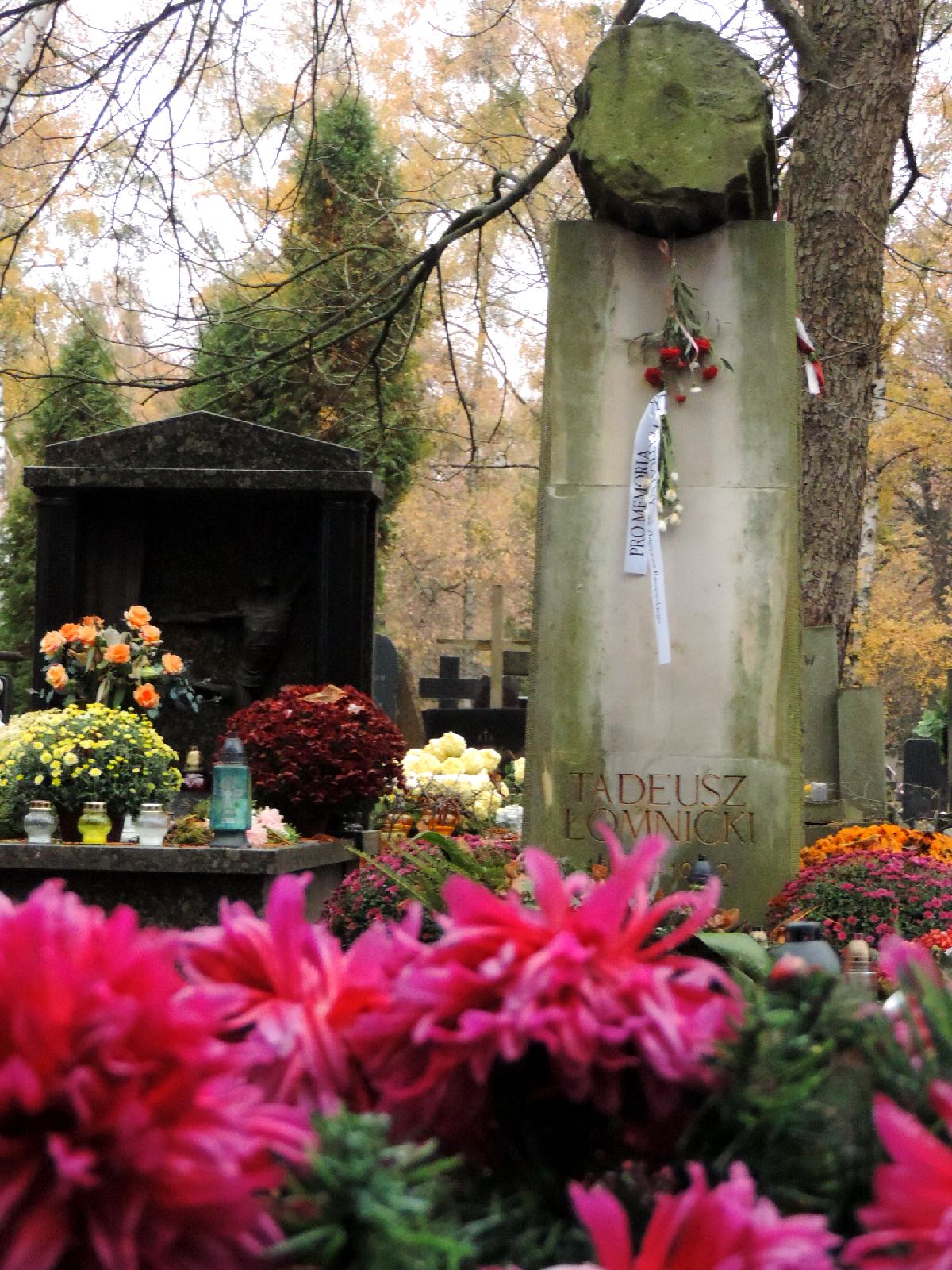 The Tomb of Tadeusz Łomnicki - Warsaw