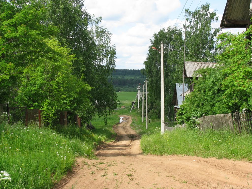 Погода ромашевский погост. Деревня Пускино Котласский район. Деревня Гусиха Тарногского района Вологодской области. Деревня Никифоровская Тарногского района. Тарногский район с. Никифоровское.