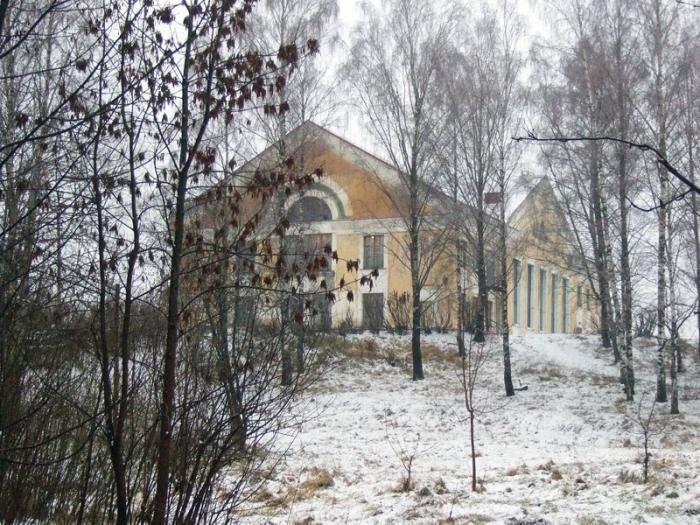 Псков палкино. Поселок Палкино Псковская область. Палкино Палкинский район Псковская область. Деревня Раихино Псковская область. Палкино Псков.