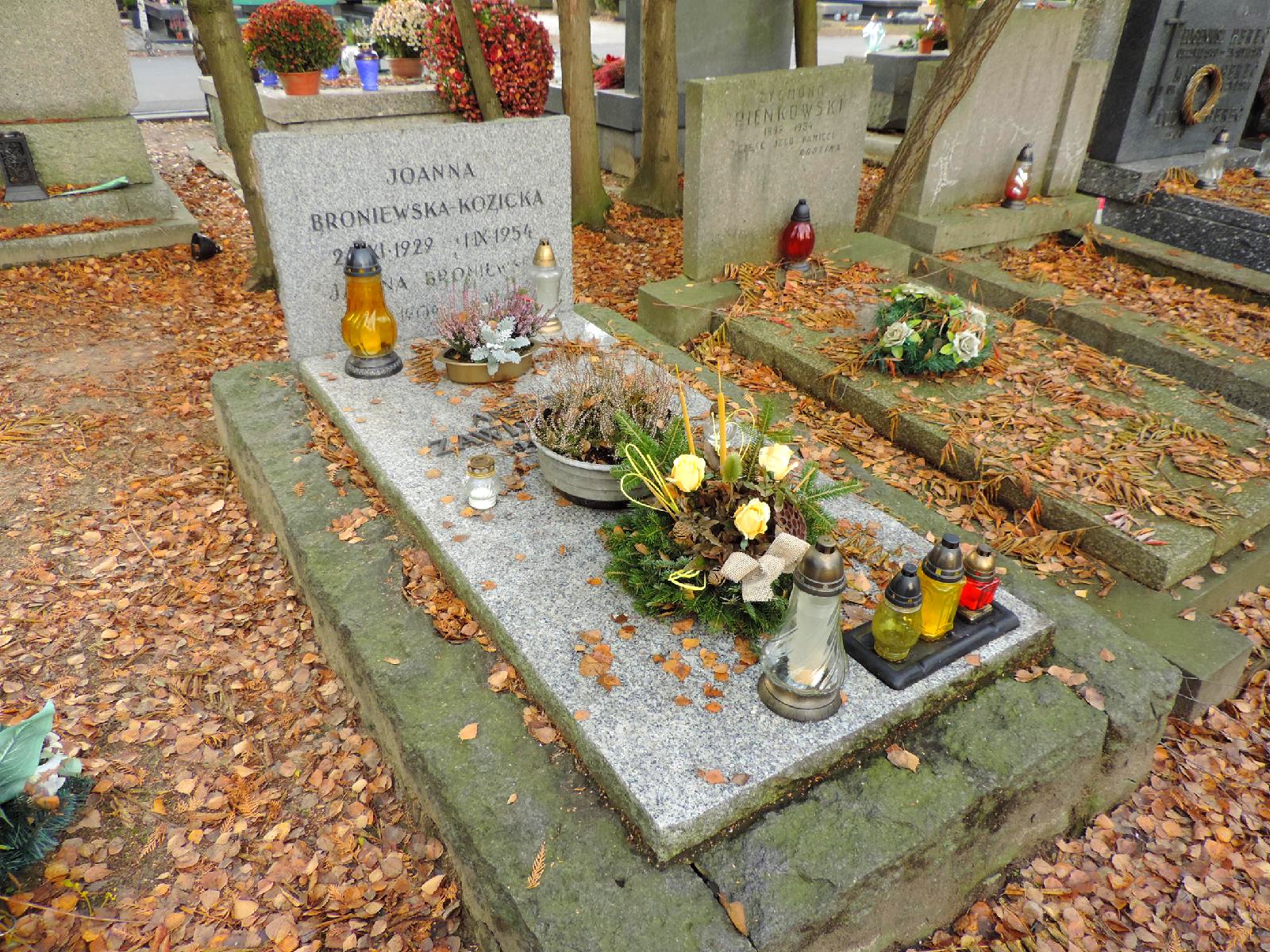 The tomb of Janina Broniewska - Warsaw