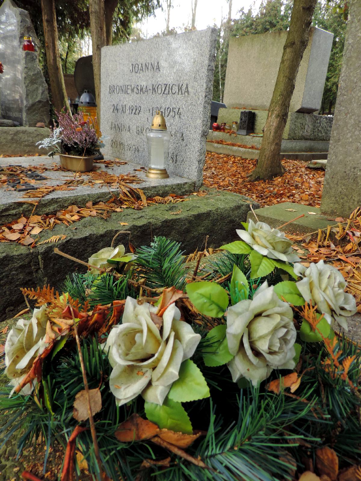 The tomb of Janina Broniewska - Warsaw