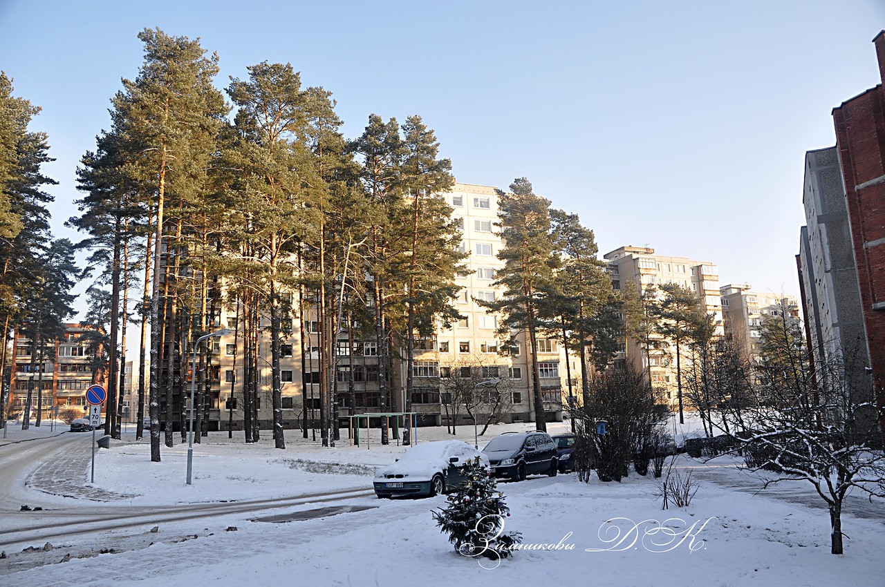 висагинас фотографии города